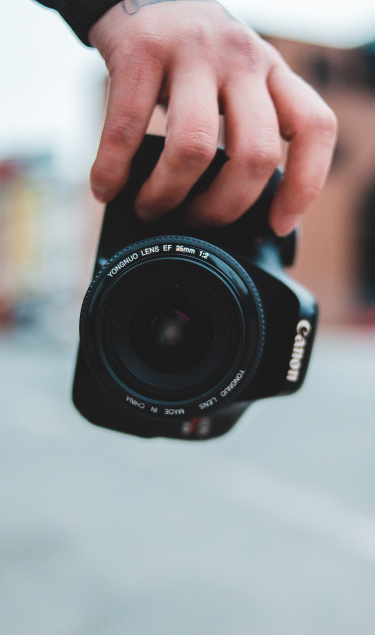 Splento vs Feedsauce